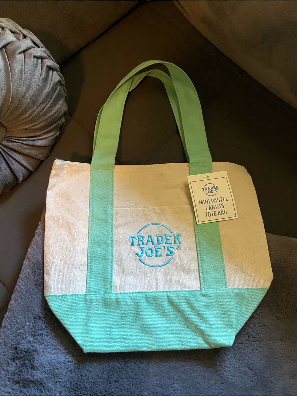 Mini Pastel Canvas Trader Joe’s Tote Bag in Mint